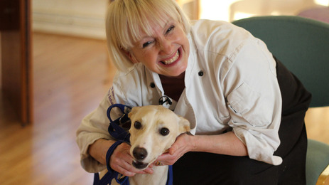 Dog Rescuers Series 3